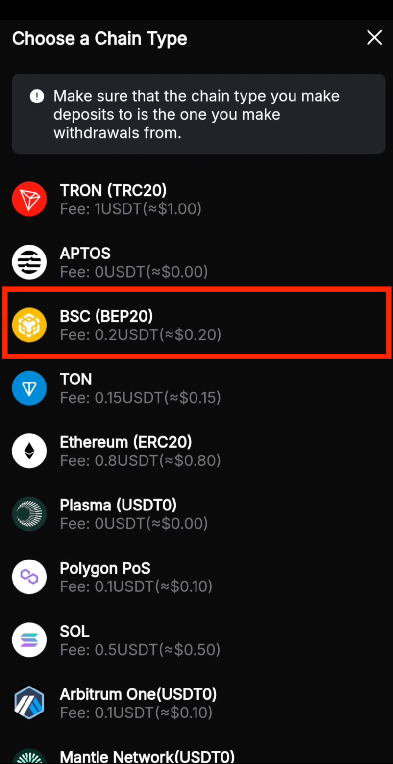 Select BEP20 network on Bybit
