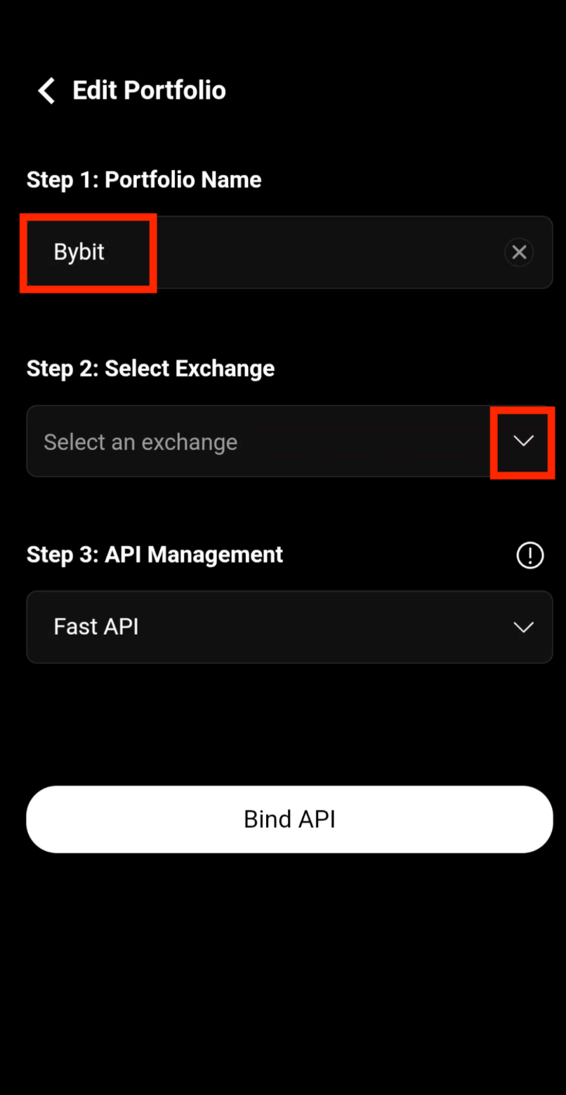 Enter portfolio name and select Bybit exchange