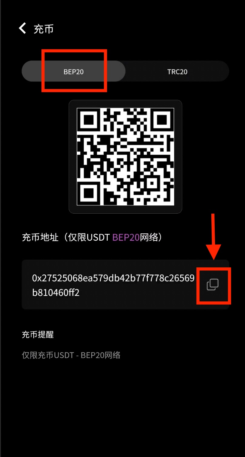复制BEP20充币地址