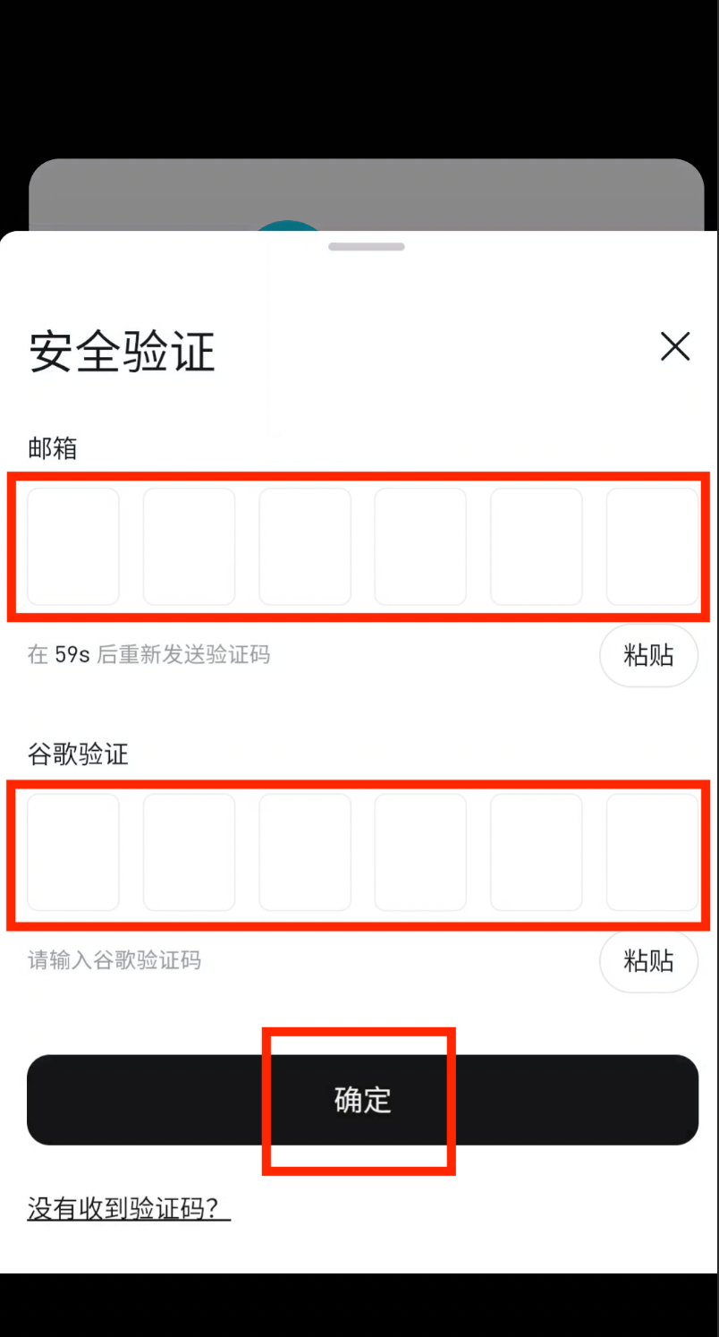 输入双重验证码