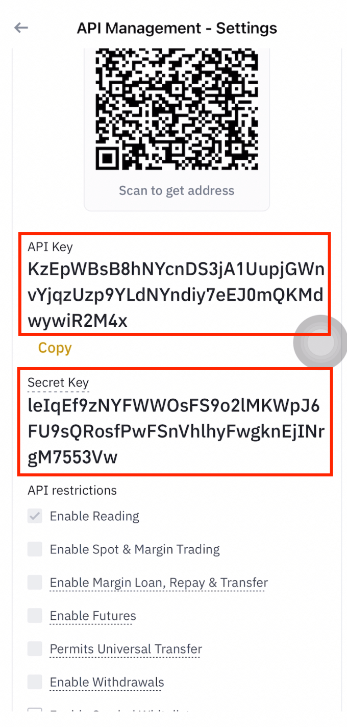 Copy API Key and Secret Key from Binance