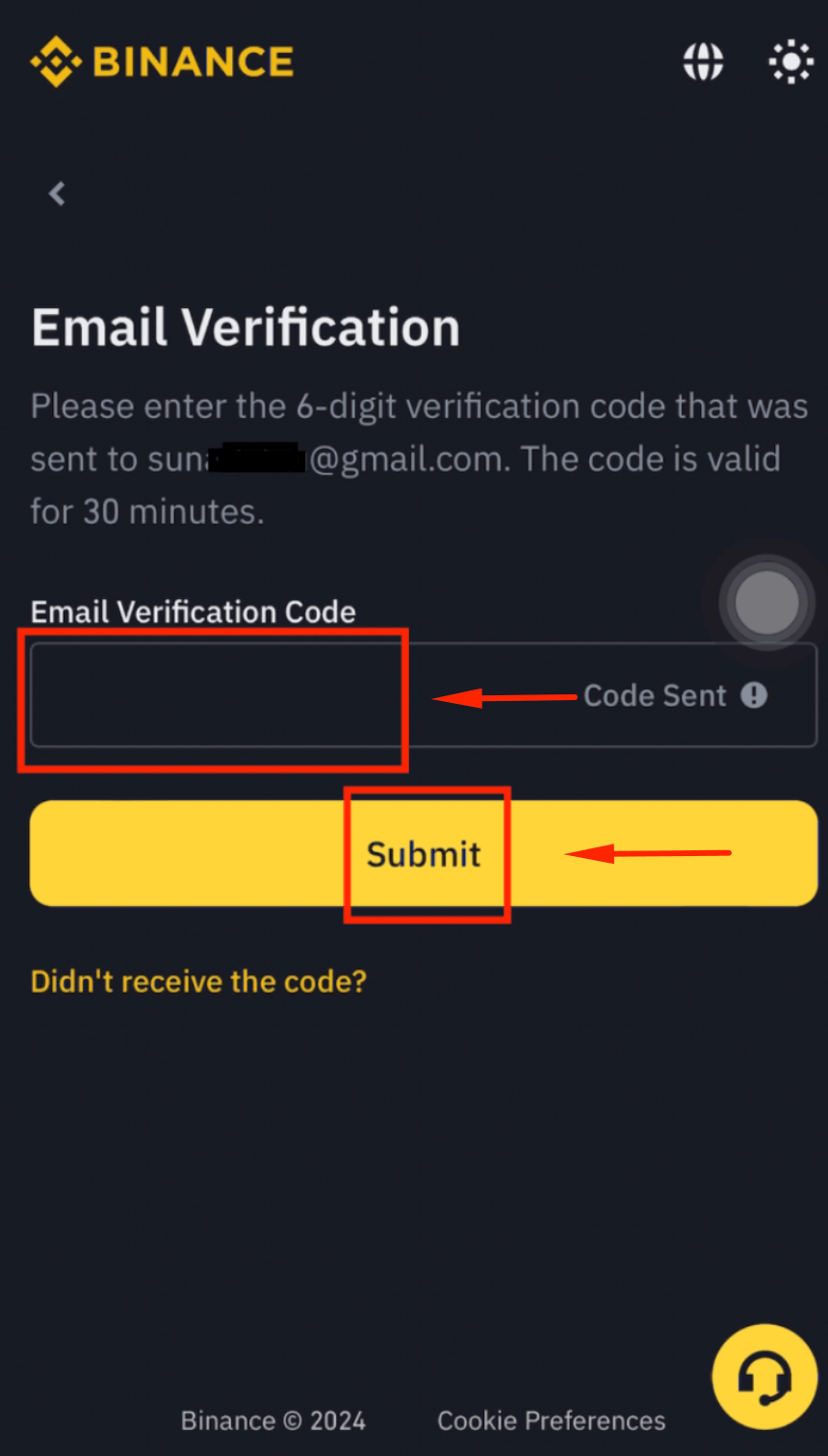 Enter email address for Binance registration