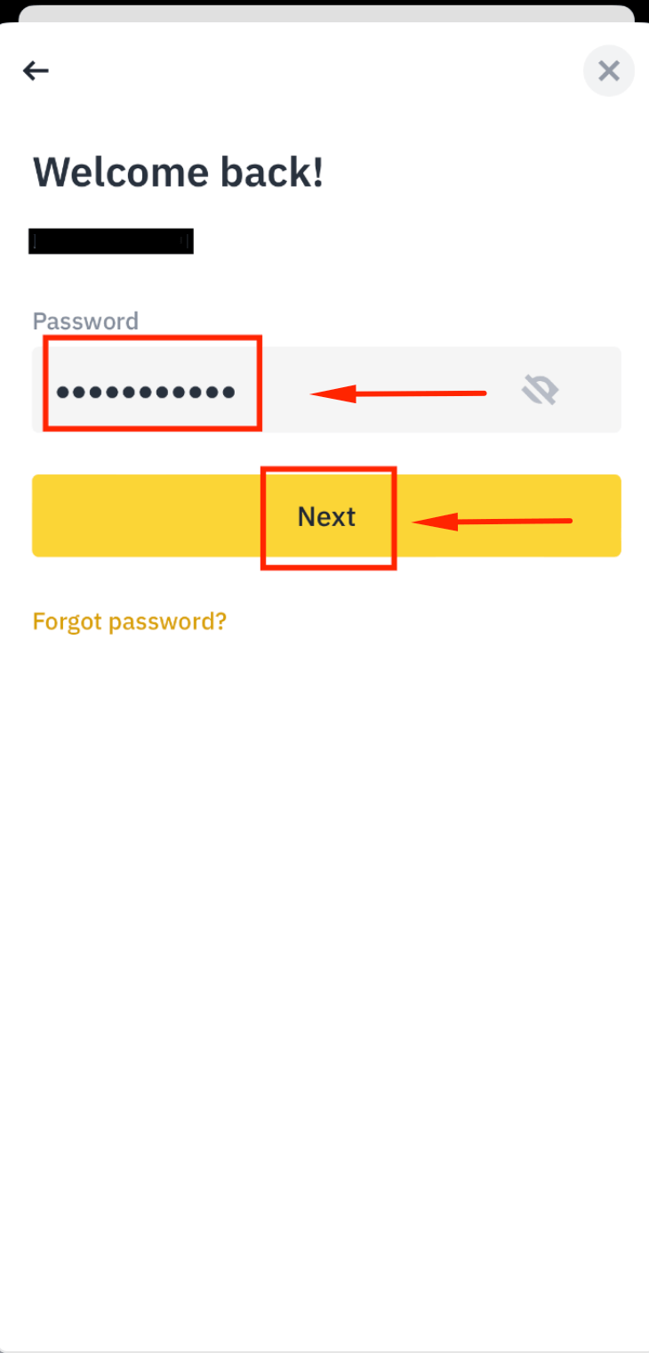 Log in to Binance App with email