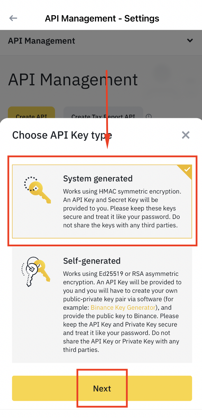 System generated API key option