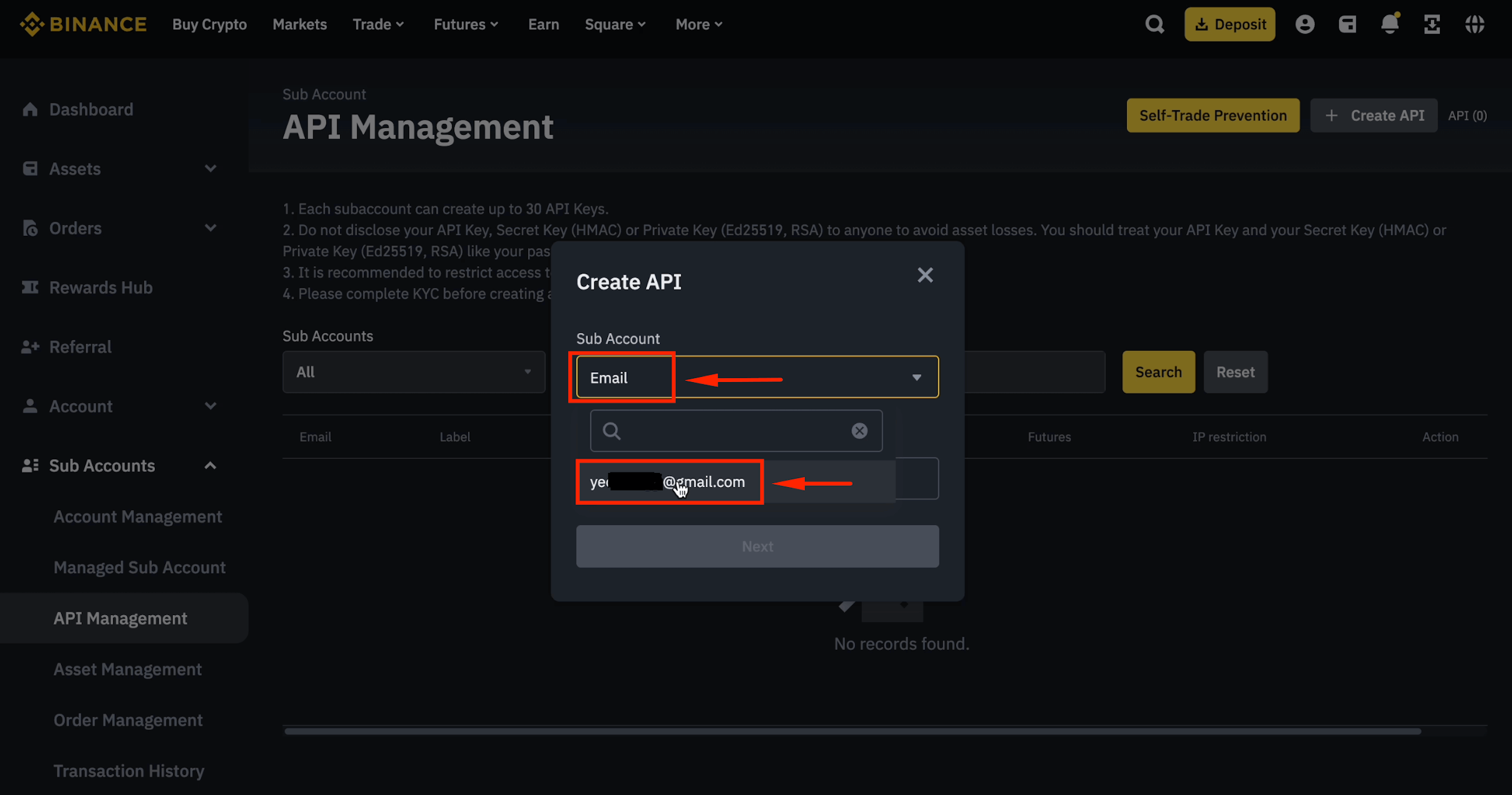 Select sub-account email for API