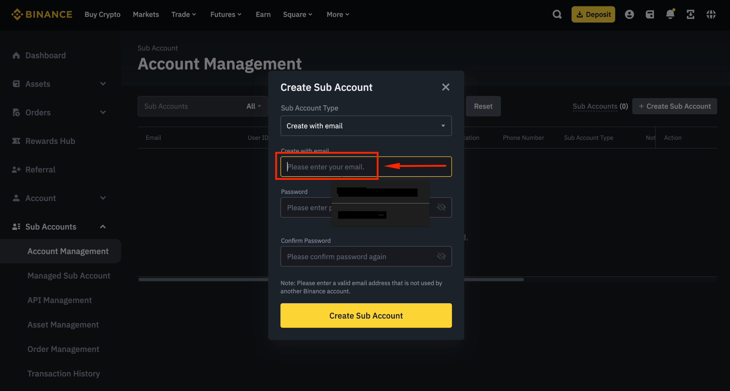 Enter new email for Binance sub-account