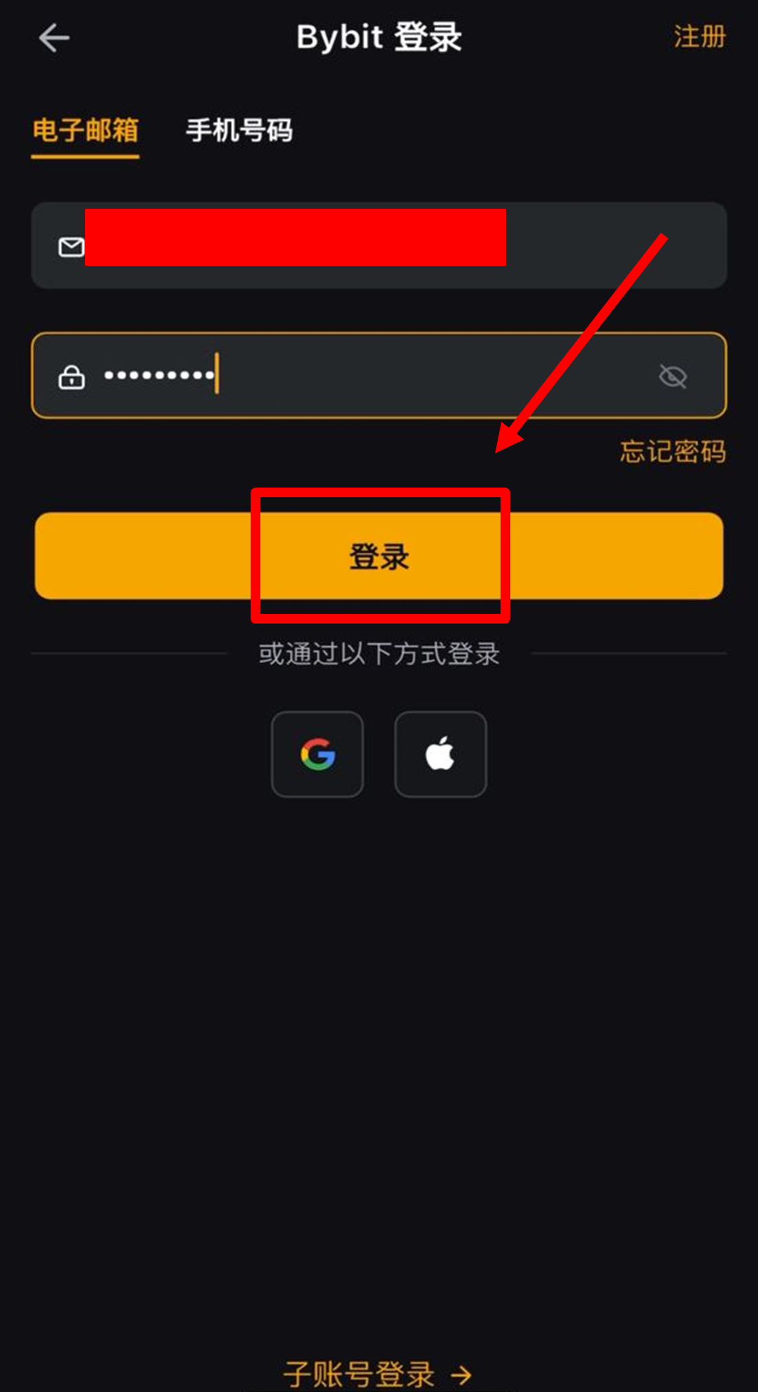 登录应用
