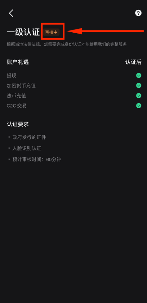 审核中